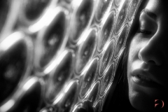 Filippo M Gianfelice - WS_11